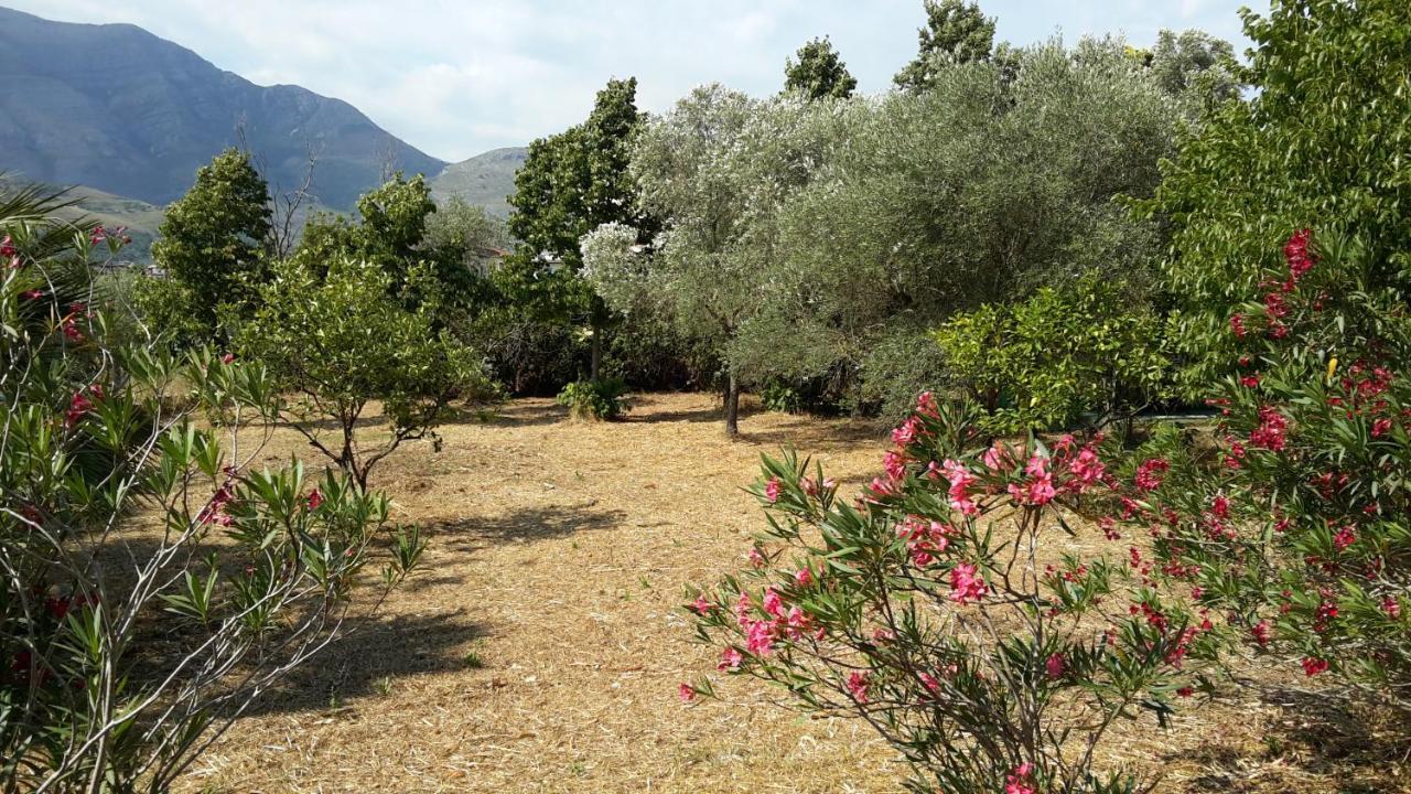 La Marina Gardens Beach Scauri  Dış mekan fotoğraf