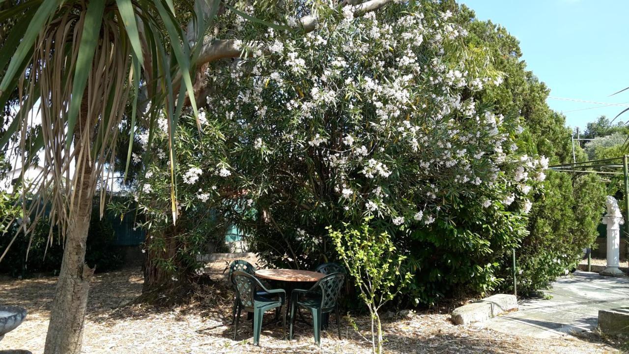 La Marina Gardens Beach Scauri  Dış mekan fotoğraf